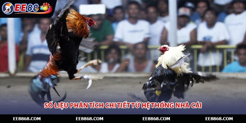 Số liệu phân tích chi tiết từ hệ thống nhà cái