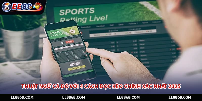 Thuật Ngữ Cá Độ Với 4 Cách Đọc Kèo Chính Xác Nhất 2025