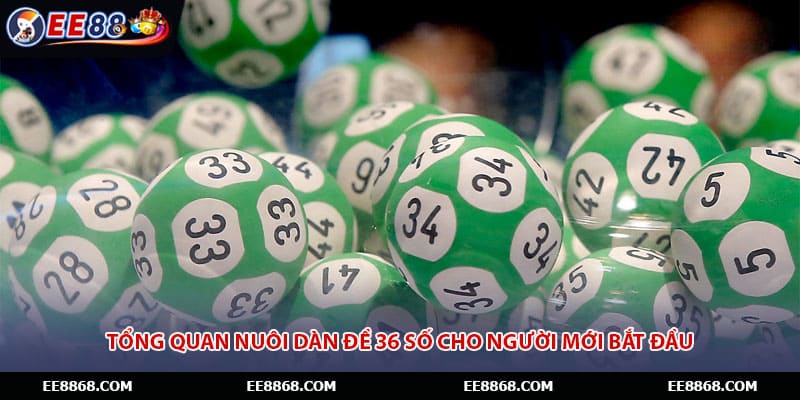 Tổng quan nuôi dàn đề 36 số cho người mới bắt đầu
